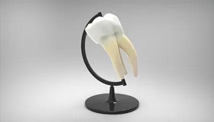 Hva er akutte tannproblemer?